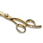 RK625G Golden Cutting Scissors