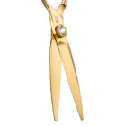 RK625G Golden Cutting Scissors