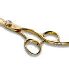 RK680G Golden Cutting Scissors