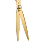 RK680G Golden Cutting Scissors