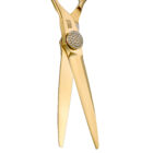 WH62G Golden Cutting Scissors